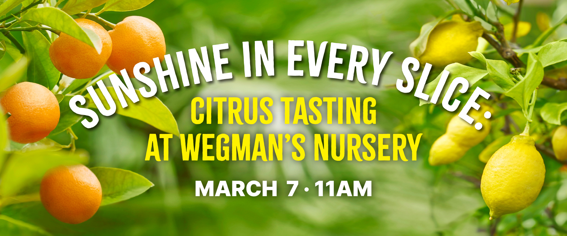 citrus fruits with Sunshine in Every Slice: Citrus Tasting at Wegman's Nursery, March 7 at 11am.